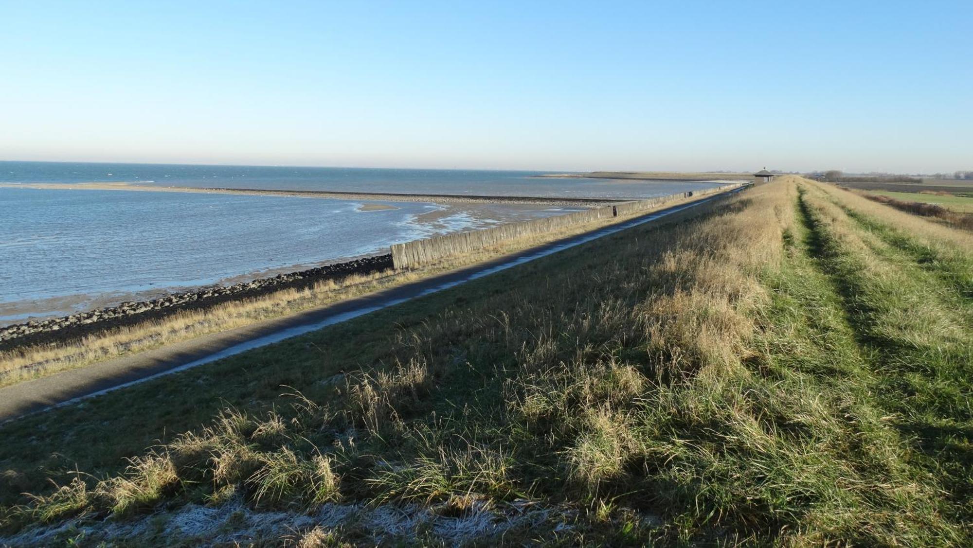 Vakantiehuis Buitengewoon Wissenkerke Eksteriør bilde